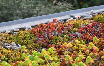 the cost of Sliabh Na H Airde green roof installation