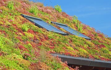 Sliabh Na H Airde living roof systems